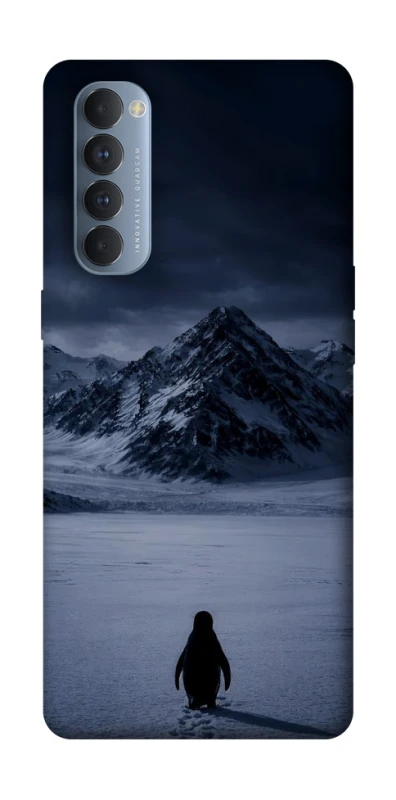 Чохол на Oppo Reno 4 Pro But why? фото 1 з 1