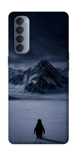 Чехол на Oppo Reno 4 Pro But why? фото 1 из 1