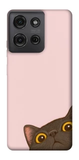 Чехол на Motorola Moto G75 Peeping cat фото 1 Чехол на Motorola Moto G75 Peeping cat фото 1 из 1
