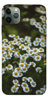 Чехол на Apple iPhone 11 Pro Max (6.5") Ромашки v13 фото 1 из 1