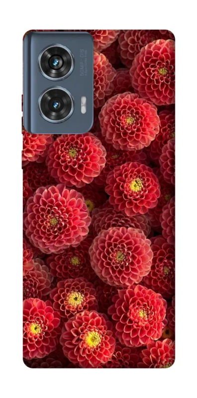 Чохол на Motorola Edge 50 Midnight1 фото 1 з 1