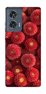 Чехол на Motorola Edge 50 Midnight1 фото 1 из 1