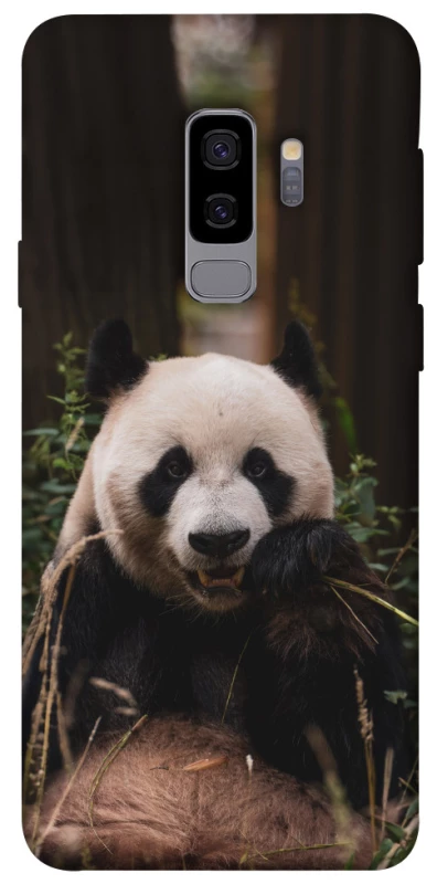 Чехол на Samsung Galaxy S9+ Панда фото 1 из 1