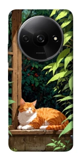 Чехол на Xiaomi Redmi A3 red cat фото 1 из 1