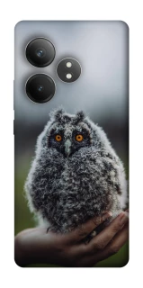 Чехол на Realme GT Neo 6 Совёнок фото 1 из 1