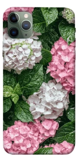 Чехол на Apple iPhone 11 Pro Max (6.5") Secret Garden фото 1 из 1