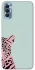Чохол на TECNO Spark 8P Leopard Art фото 1 з 1