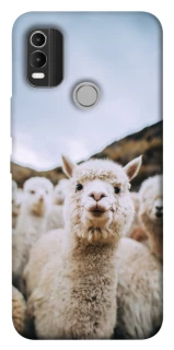 Чехол на Nokia C21 Plus Лама фото 1 из 1