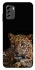 Чохол на Nokia G60 Leopard v4 фото 1 з 1