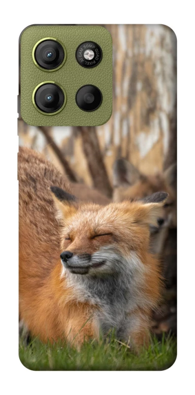 Чохол на Motorola Moto G15 4G Лисиця фото 1 з 1