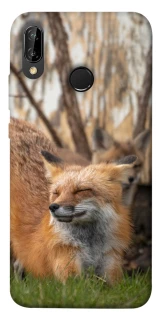 Чохол на Huawei P20 Lite Лисиця фото 1 Чохол на Huawei P20 Lite Лисиця фото 1 з 1