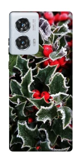 Чехол на Motorola Edge 50 Fusion Новогодний v32 фото 1 из 1