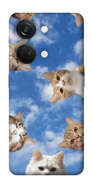 Чохол на OnePlus Nord 3 Сats фото 1 з 1