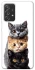 Чохол на Samsung Galaxy A52 4G / A52 5G Гарні котики фото 1 з 1