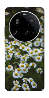 Чехол на Xiaomi 15 Ultra Ромашки v13 фото 1 из 1