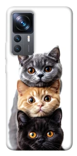 Чохол на Xiaomi 12T / 12T Pro Гарні котики фото 1 з 1
