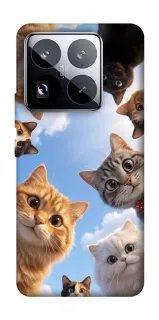 Чехол на Xiaomi 15 Pro Cats фото 1 из 1