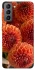 Чохол на Samsung Galaxy S21 FE Flower1 фото 1 з 1
