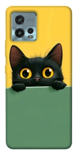 Чехол на Motorola Moto G72 Black cat v2 фото 1 из 1