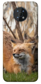 Чохол на Nokia G50 Лисиця фото 1 з 1