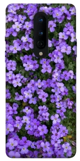 Чохол на OnePlus 8 Flowers v17 фото 1 з 1