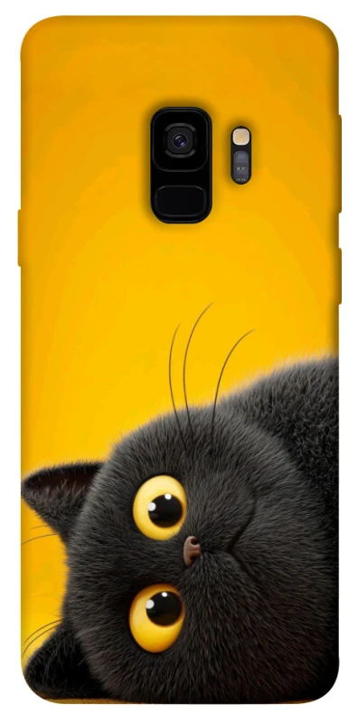 Чохол на Samsung Galaxy S9 This is Cat фото 1 з 1