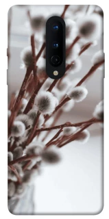 Чехол на OnePlus 8 Magic фото 1 из 1