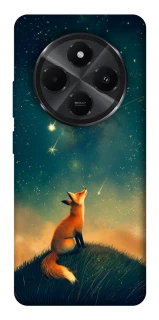 Чехол на Xiaomi Redmi A4 Sky fox фото 1 из 1