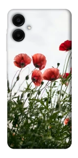 Чехол на Samsung Galaxy A06 Поле маков фото 1 из 1