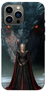 Чехол на Apple iPhone 12 Pro Max (6.7") House of the Dragon ver.7 фото 1 из 1