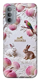 Чехол на Motorola Moto G31 Hermes фото 1 из 1