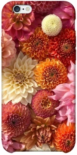 Чохол на Apple iPhone 6/6s plus (5.5") Bouquet фото 1 з 1