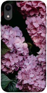 Чохол на Apple iPhone XR (6.1") Рожеві гартензії фото 1 з 1