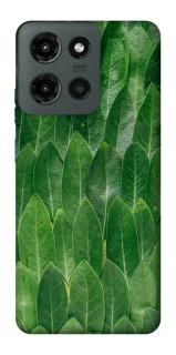 Чехол на Motorola Moto G Power (2025) Листья фото 1 из 1