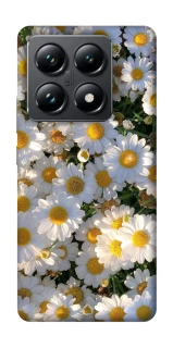 Чохол на Xiaomi 14T Pro Поле ромашок фото 1 з 1