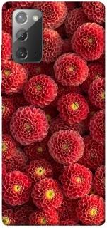 Чехол на Samsung Galaxy Note 20 Midnight1 фото 1 из 1