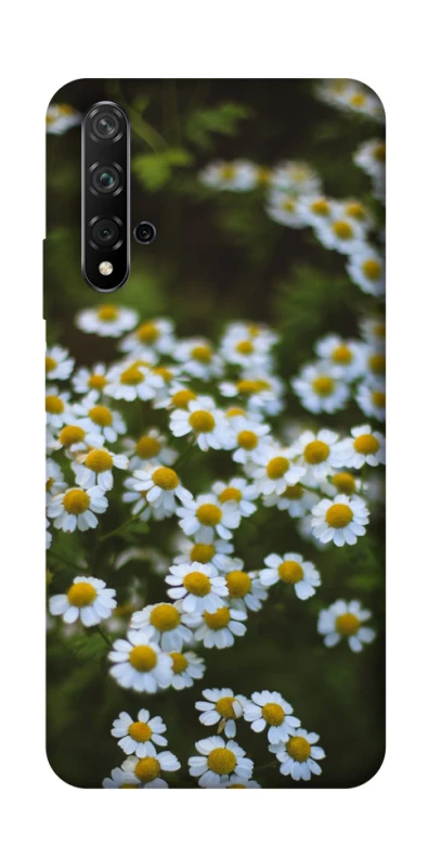 Чехол на Huawei Honor 20 / Nova 5T Ромашки v13 фото 1 из 1