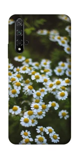 Чехол на Huawei Honor 20 / Nova 5T Ромашки v13 фото 1 из 1
