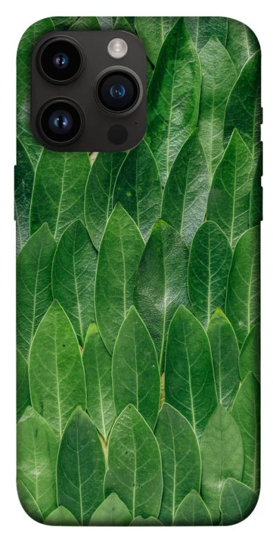 Чохол на Apple iPhone 14 Pro Max (6.7") Листя фото 1 з 1