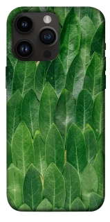 Чохол на Apple iPhone 14 Pro Max (6.7") Листя фото 1 з 1