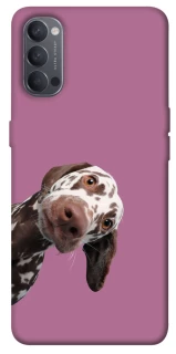 Чохол на Oppo Reno 4 А що тут фото 1 з 1