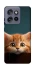 Чехол на Motorola Edge 50 Neo Чехол Котёнок фото 1 из 1