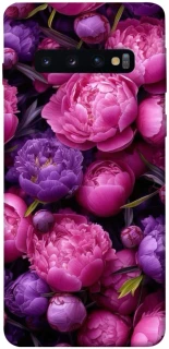 Чохол на Samsung Galaxy S10 Garden2 фото 1 з 1