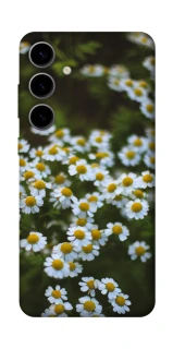 Чехол на Samsung Galaxy S25 FE Ромашки v13 фото 1 из 1
