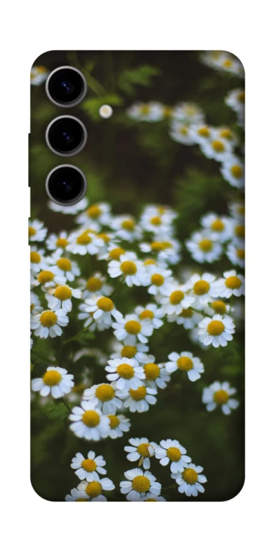 Чохол на Samsung Galaxy S25 Ромашки v13 фото 1 з 1