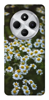 Чехол на Xiaomi Redmi 14C / Poco C75 Ромашки v13 фото 1 из 1