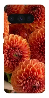 Чохол на Google Pixel 8 Pro Flower1 фото 1 з 1