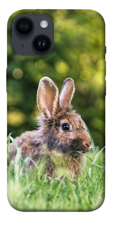 Чехол на Apple iPhone 14 (6.1") Кролики фото 1 из 1