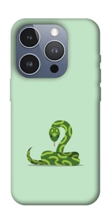 Чохол на Apple iPhone 16 Pro Змійка фото 1 з 1