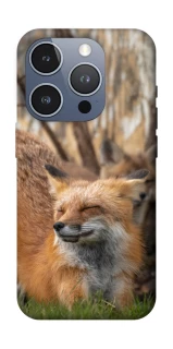 Чехол на Apple iPhone 16 Pro Лиса фото 1 из 1